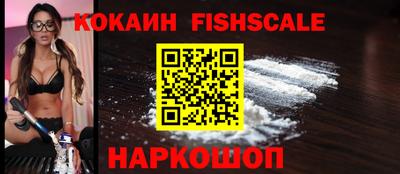 МДПВ Камышлов