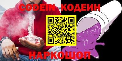 МДПВ Камышлов