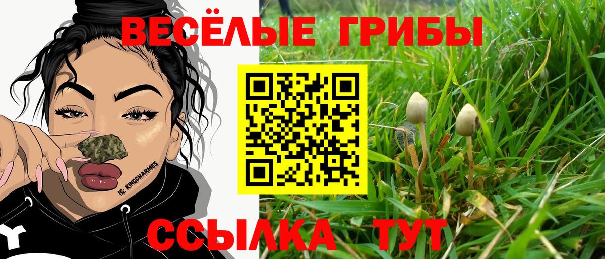 Псилоцибиновые грибы Cubensis Камышлов