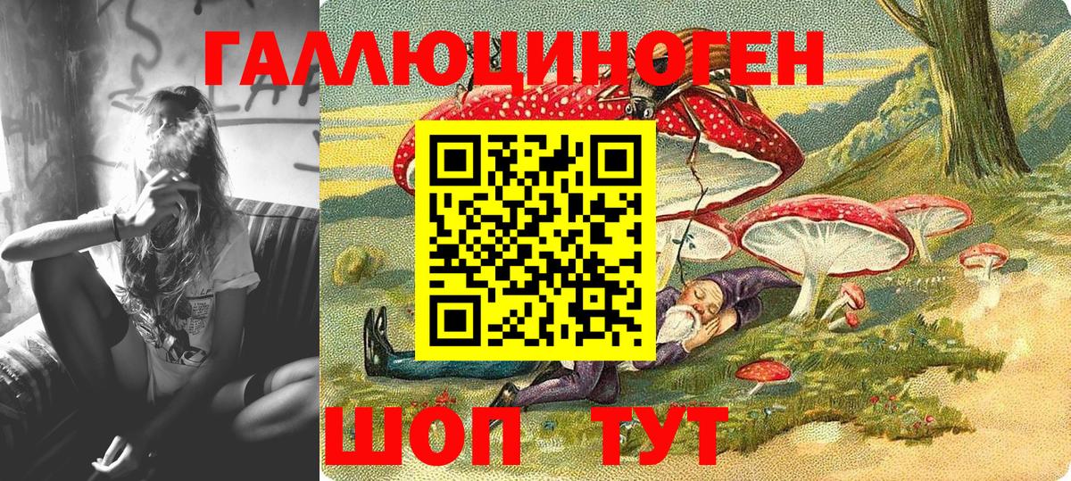 Камышлов  продажа наркотиков  Галлюциногенные грибы Cubensis  Вход с VPN  Псилоцибиновые грибы Cubensis 